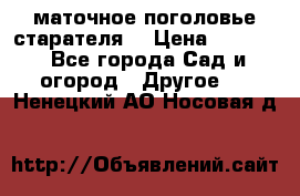 маточное поголовье старателя  › Цена ­ 3 700 - Все города Сад и огород » Другое   . Ненецкий АО,Носовая д.